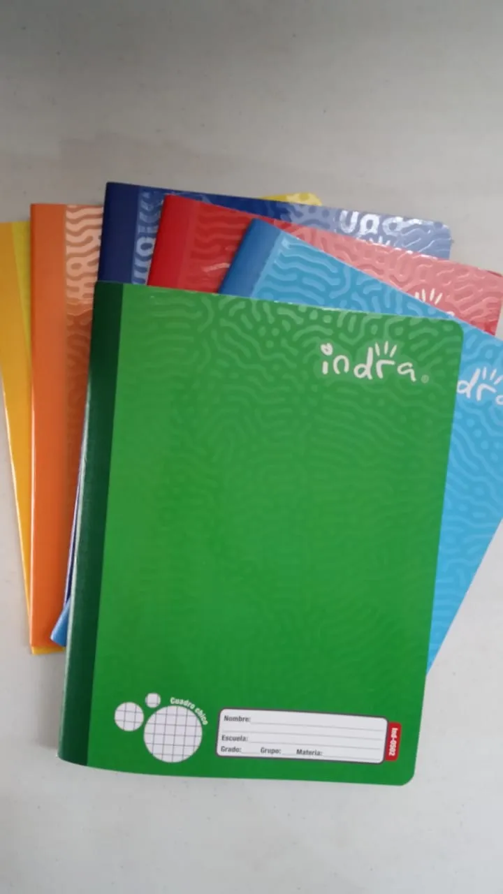 CUADERNO PROF COSIDO INDRA 100H CUADRO CHICO