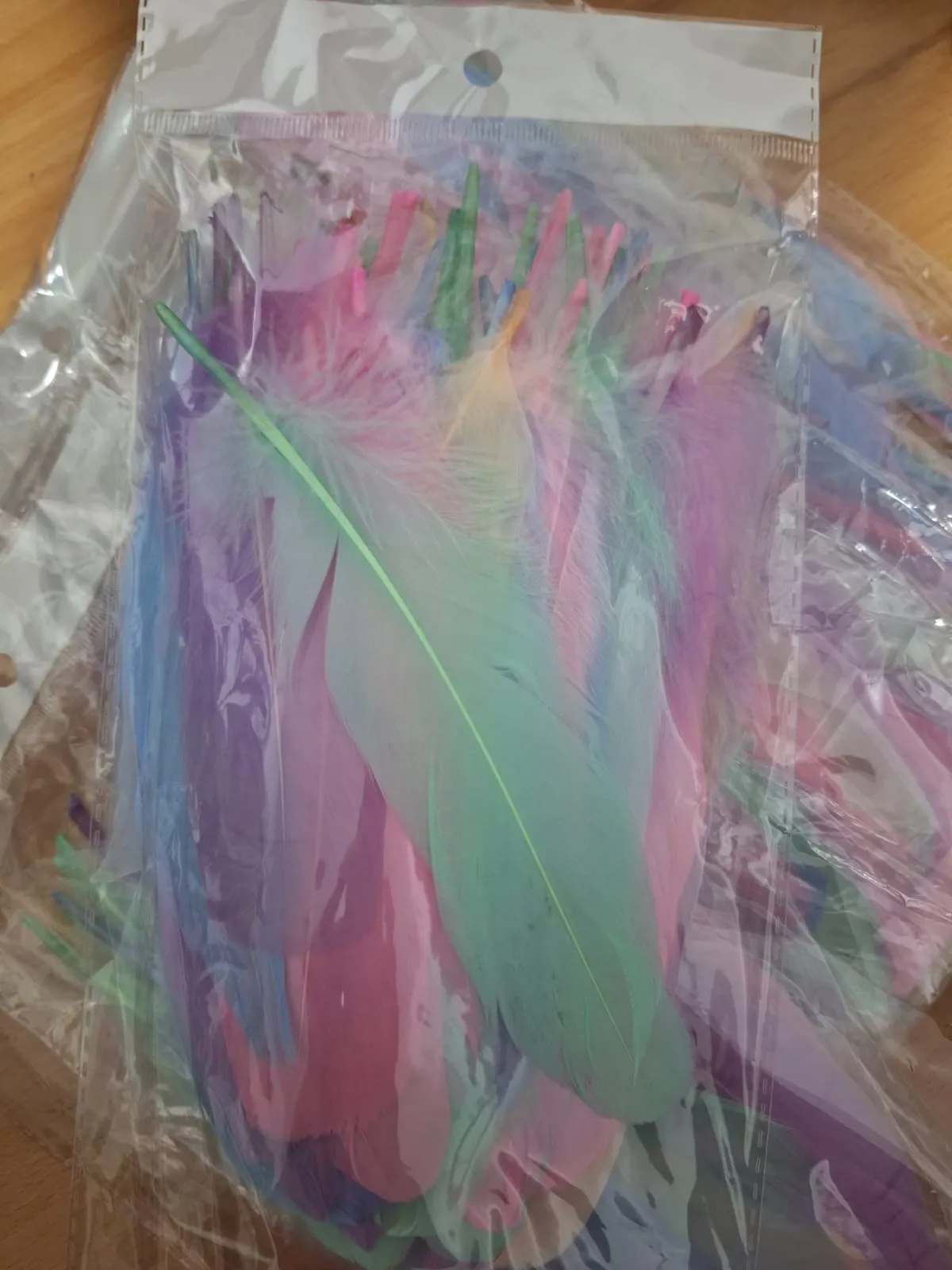 PLUMA DE GANSO PARA MANUALIDAD (TONO PASTEL)