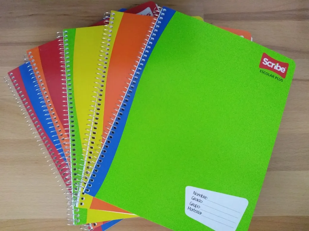 CUAD PROF SCRIBE ESCOLAR PLUS 7970 100H RAYA