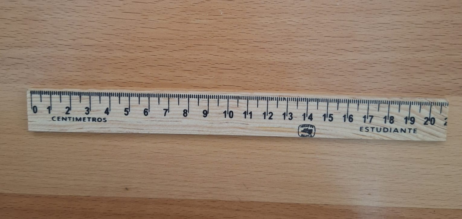 REGLA DE MADERA 20CM
