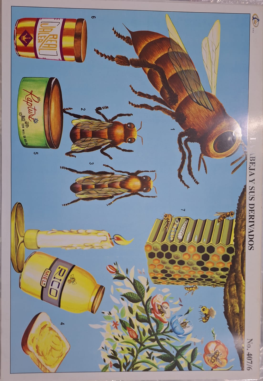 LA ABEJA Y SUS DERIVADOS 47X68