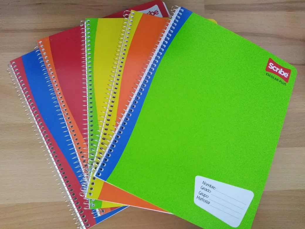 CUAD PROF SCRIBE ESCOLAR PLUS 7973 100H C-7 CUADRO GRANDE