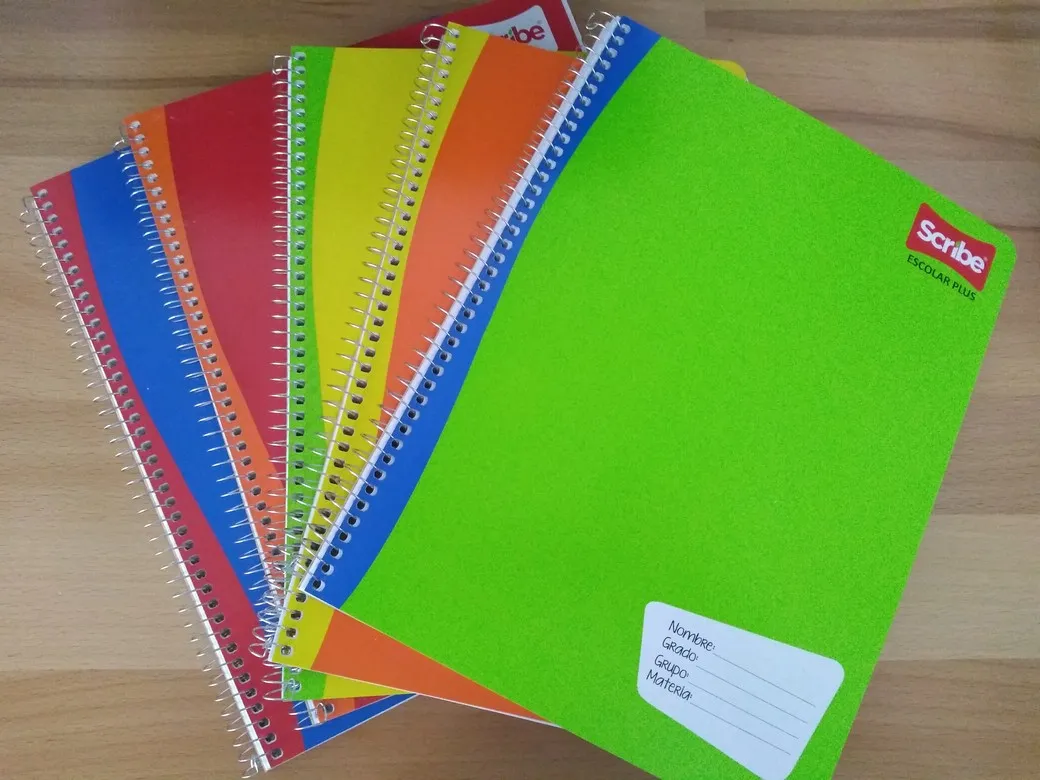 CUAD PROF SCRIBE ESCOLAR PLUS 7972 100H C-5 CUADRO CHICO