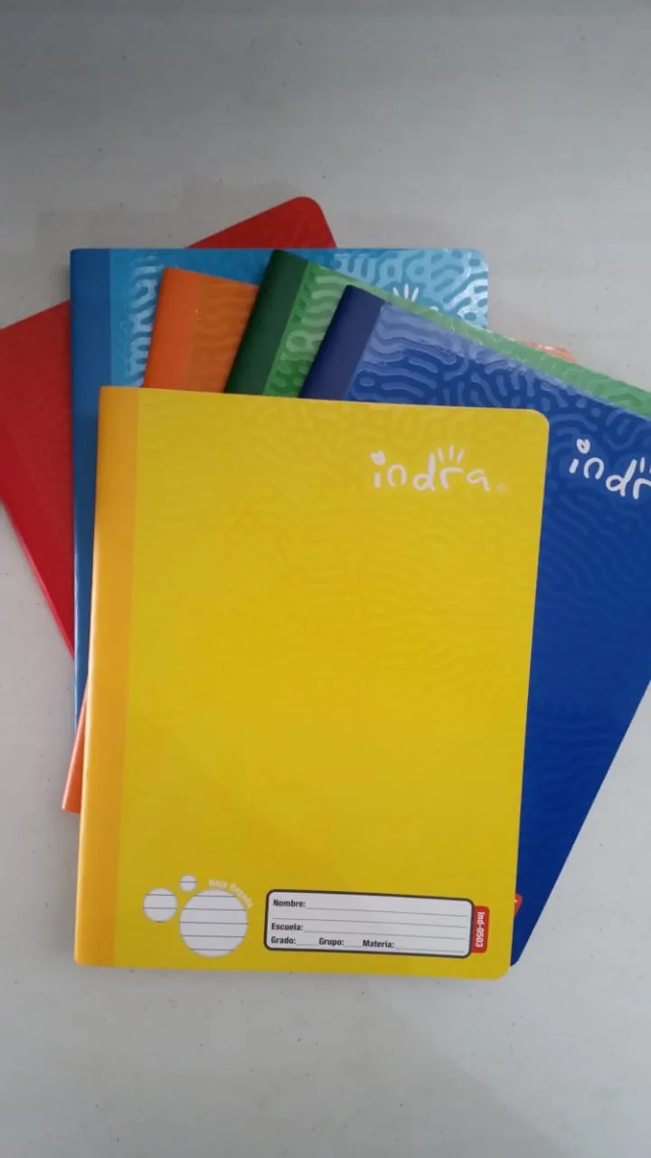 CUADERNO PROF COSIDO INDRA 100H RAYA