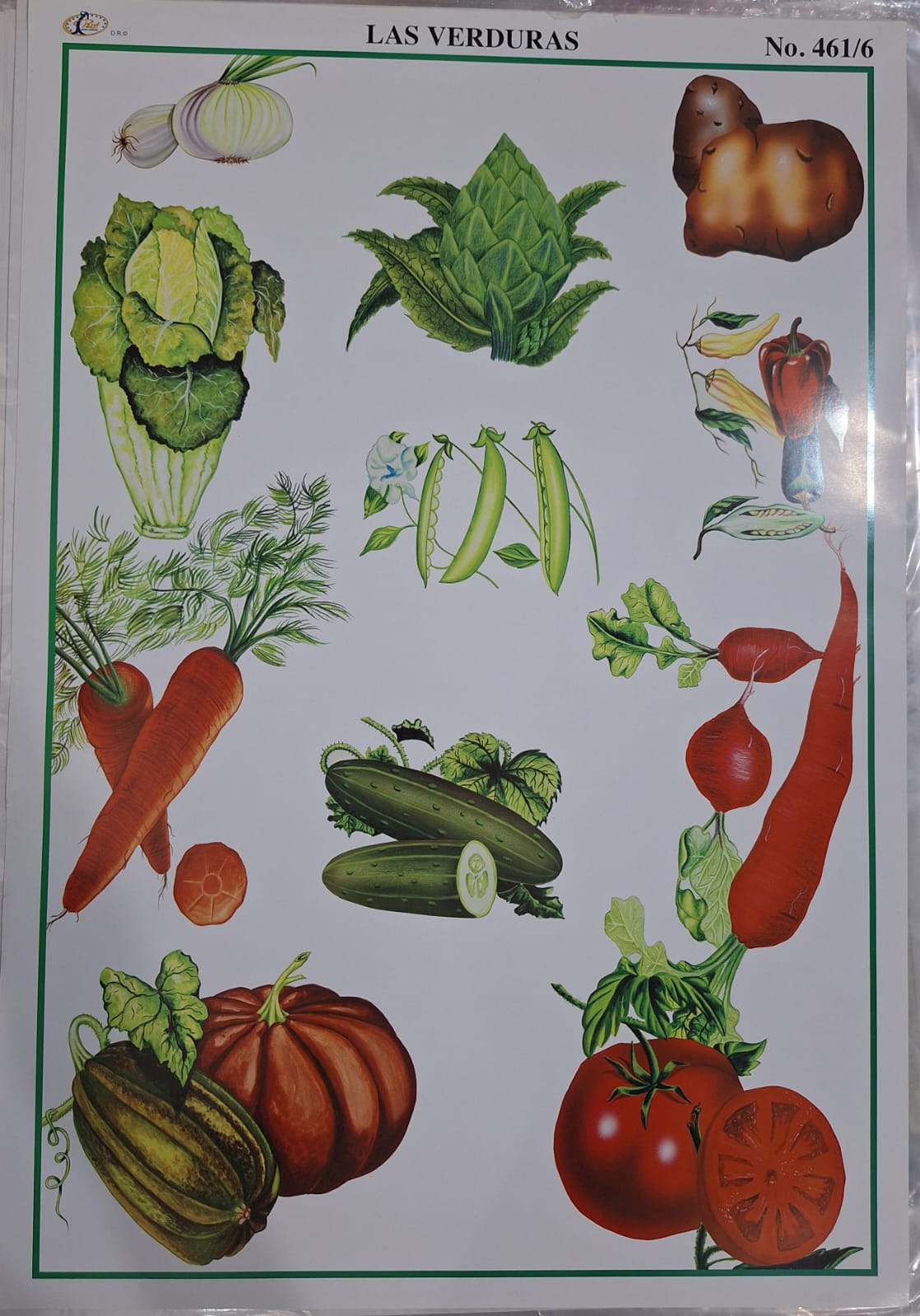 LAS VERDURAS 47X68