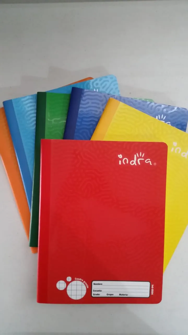 CUADERNO PROF COSIDO INDRA 100H CUADRO GRANDE