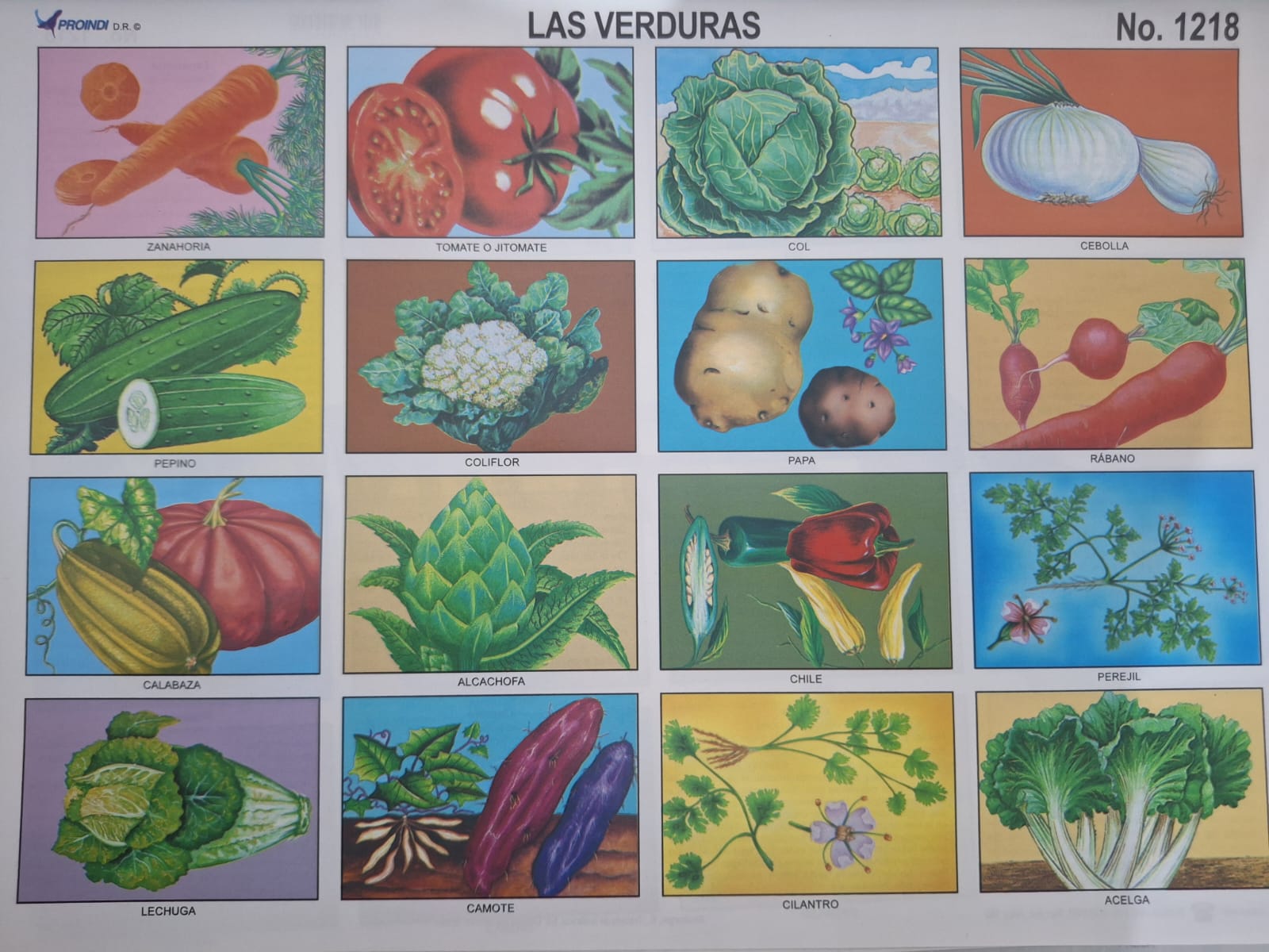 LAS VERDURAS