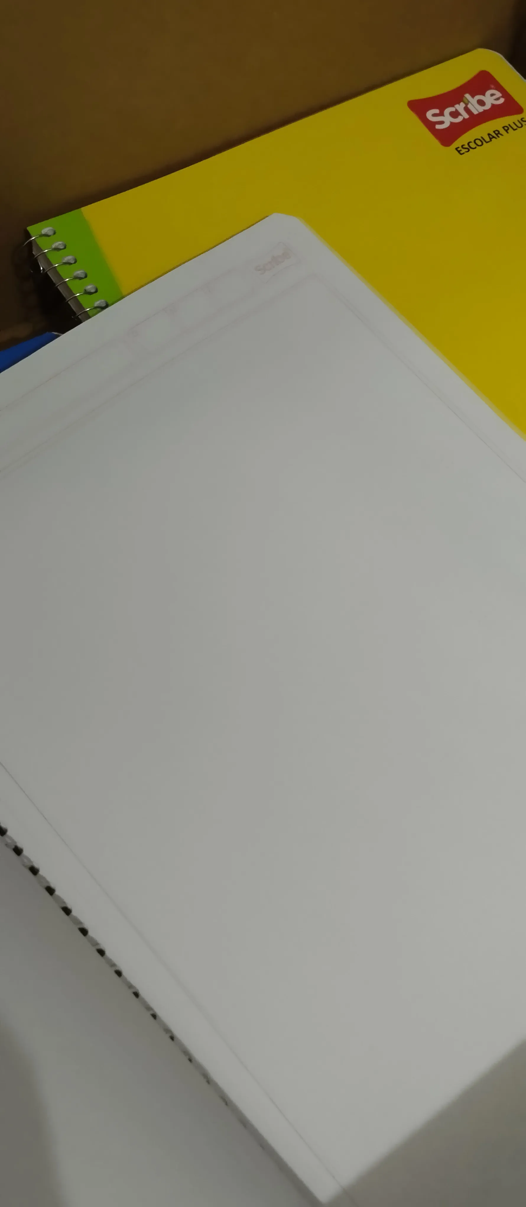 CUADERNO PROF. SCRIBE ESCOLAR PLUS HOJA BLANCA